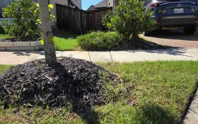 Photo of Sarah M.'s yard after getting landscaping in Wylie, TX