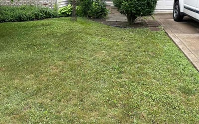 Photo of Jeffrey C.'s yard after getting landscaping in Elwood, IN