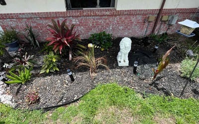 Photo of Shannon G.'s yard after getting landscaping in Deland, FL