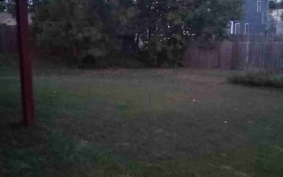 Photo of Tommy V.'s yard after getting tree care in South Bend, IN