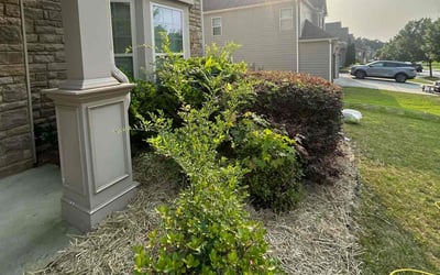 Photo of James B.'s yard after getting landscaping in Dacula, GA