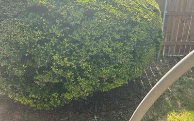 Photo of Alicia D.'s yard after getting landscaping in Greenwood, TX