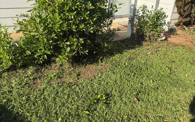 Photo of Justin J.'s yard after getting landscaping in Acworth, GA