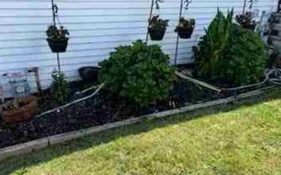 Photo of Kathleen W.'s yard after getting landscaping in Fulton, NY