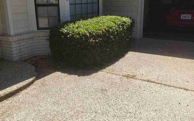 Photo of Lynda E.'s yard after getting landscaping in Folsom, CA