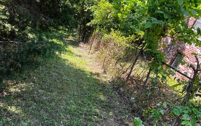 Photo of June K.'s yard after getting tree care in Monroe, NC