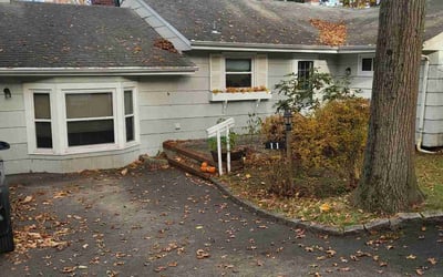 Photo of Paul J.'s yard after getting tree care in Schenectady, NY
