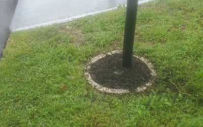 Photo of Jennifer A.'s yard after getting tree care in Davenport, FL