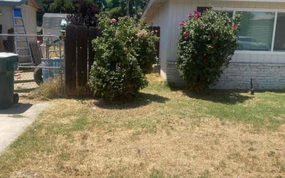 Photo of Janet W.'s yard after getting tree care in Auburn, CA
