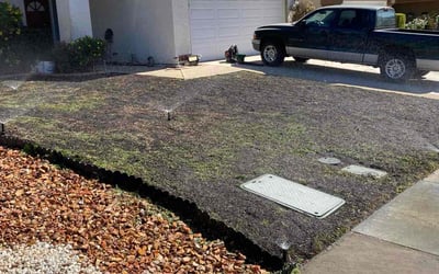 Photo of Diane C.'s yard after getting landscaping in Murrieta, CA