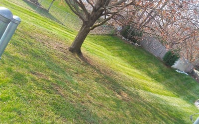 Photo of James M.'s yard after getting landscaping in Spring Lake, MI