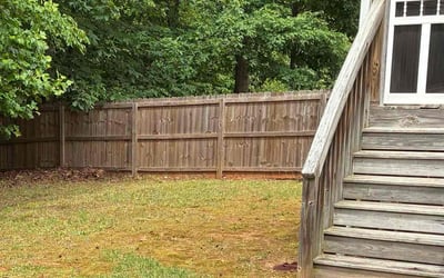 Photo of Angel D.'s yard after getting landscaping in Holly Springs, NC