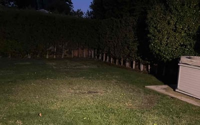 Photo of Tyler N.'s yard after getting landscaping in San Pedro, CA