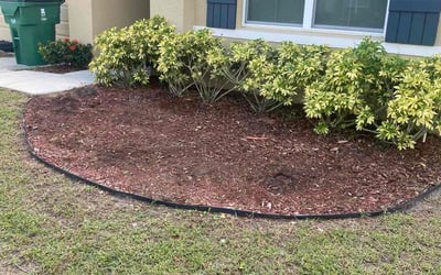 Photo of Latonya H.'s yard after getting landscaping in Zephyrhills, FL