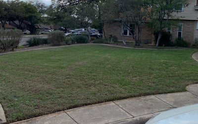 Photo of Kristi M.'s yard after getting landscaping in Campbellton, TX