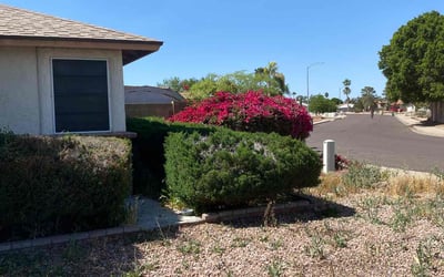Photo of Vyolet W.'s yard after getting landscaping in Stanfield, AZ