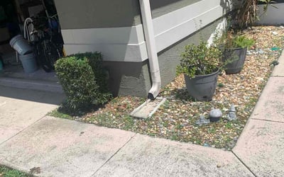 Photo of Jack F.'s yard after getting tree care in Orlando, FL