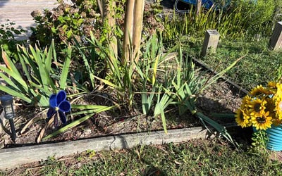 Photo of Jennifer S.'s yard after getting landscaping in Isle Of Wight, VA