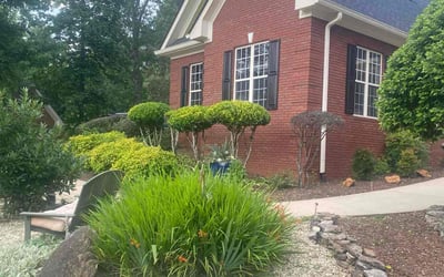 Photo of Haide M.'s yard after getting landscaping in Watkinsville, GA