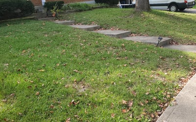 Photo of Robert H.'s yard after getting landscaping in Rising Sun, IN