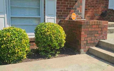 Photo of Trevor S.'s yard after getting landscaping in Upper Marlboro, MD