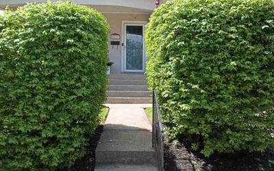Photo of Pat M.'s yard after getting landscaping in Brownsville, IN