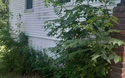 Photo of Steve M.'s yard after getting landscaping in Waverly, MO