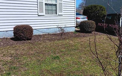 Photo of Dan S.'s yard after getting landscaping in Bohannon, VA