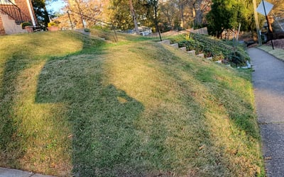 Photo of Christina S.'s yard after getting landscaping in Occoquan, VA