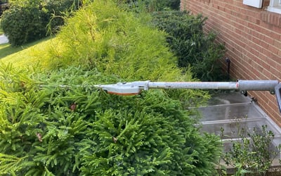 Photo of Hanna M.'s yard after getting landscaping in Glen Echo, MD