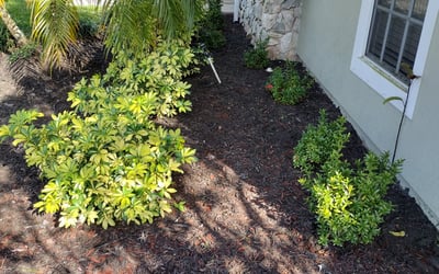 Photo of Christopher S.'s yard after getting landscaping in Indiantown, FL