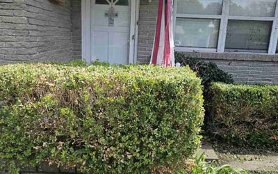 Photo of Sarah H.'s yard after getting landscaping in Garland, TX