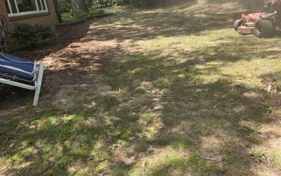 Photo of Christina H.'s yard after getting landscaping in Severna Park, MD