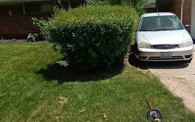 Photo of Terence S.'s yard after getting landscaping in Mount Sterling, OH
