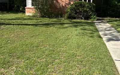 Photo of Dawn G.'s yard after getting landscaping in Utopia, TX