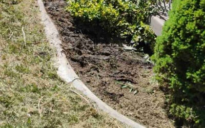 Photo of Kimberly K.'s yard after getting landscaping in Lehi, UT