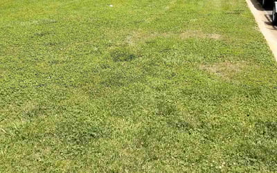 Photo of Crystal C.'s yard after getting landscaping in Mc Adenville, NC