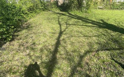 Photo of Angela H.'s yard after getting landscaping in Coatesville, IN