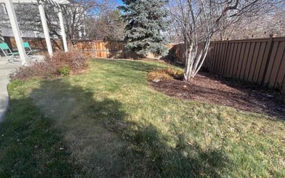 Photo of Nathaniel S.'s yard after getting landscaping in Kiowa, CO