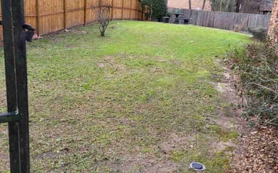 Photo of Kenneth M.'s yard after getting landscaping in New Ulm, TX