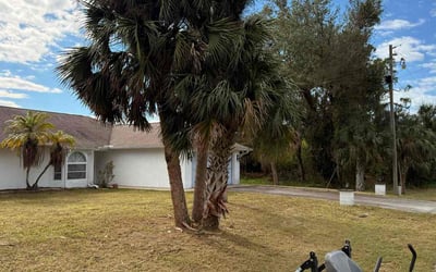 Photo of Jim D.'s yard after getting landscaping in North Port, FL