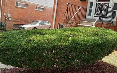 Photo of Christia E.'s yard after getting landscaping in Richardsville, VA