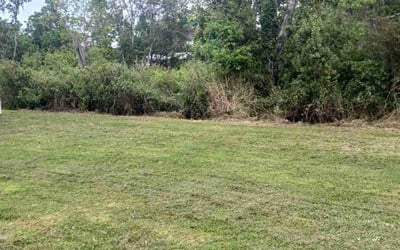 Photo of Megan S.'s yard after getting landscaping in Loughman, FL