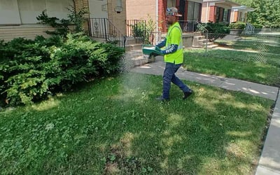 Photo of Kelly E.'s yard after getting landscaping in Chicago, IL