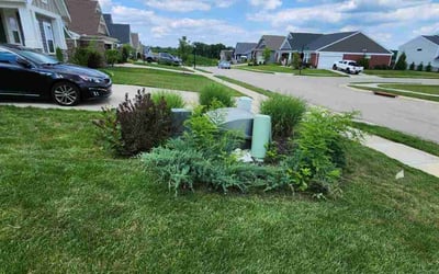 Photo of Tina W.'s yard after getting landscaping in Covington, KY