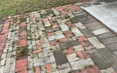 Photo of Tamara S.'s yard after getting landscaping in Tyler, TX