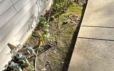 Photo of Ulla C.'s yard after getting landscaping in Pollock Pines, CA