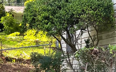 Photo of Charles O.'s yard after getting tree care in Mcdonough, GA