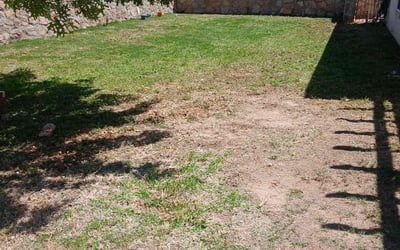 Photo of Veronica C.'s yard after getting landscaping in Canutillo, TX