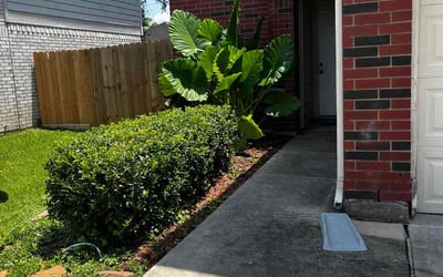 Photo of Jessica W.'s yard after getting tree care in Missouri City, TX